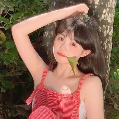 传世风云卧龙名将游戏